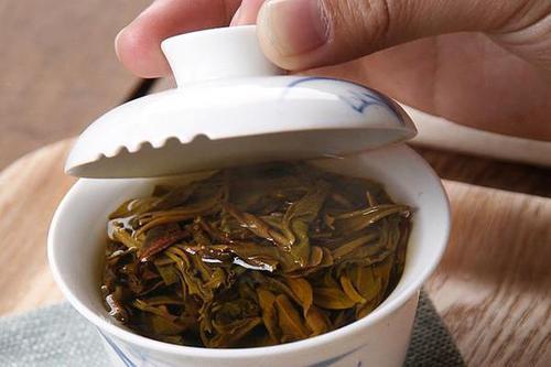 养绿萝牢记这4种方法疯长不停,绿萝怎么养才能发新枝快