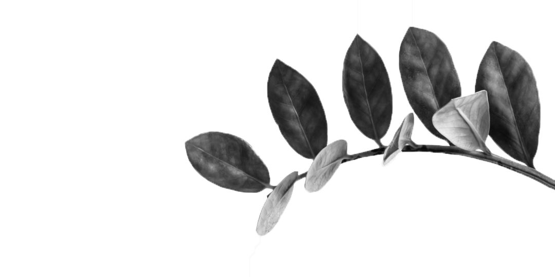 澳洲靴子,澳洲厚底雪地靴