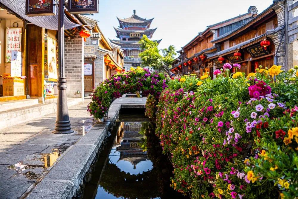 瞧！这花花世界谁不爱