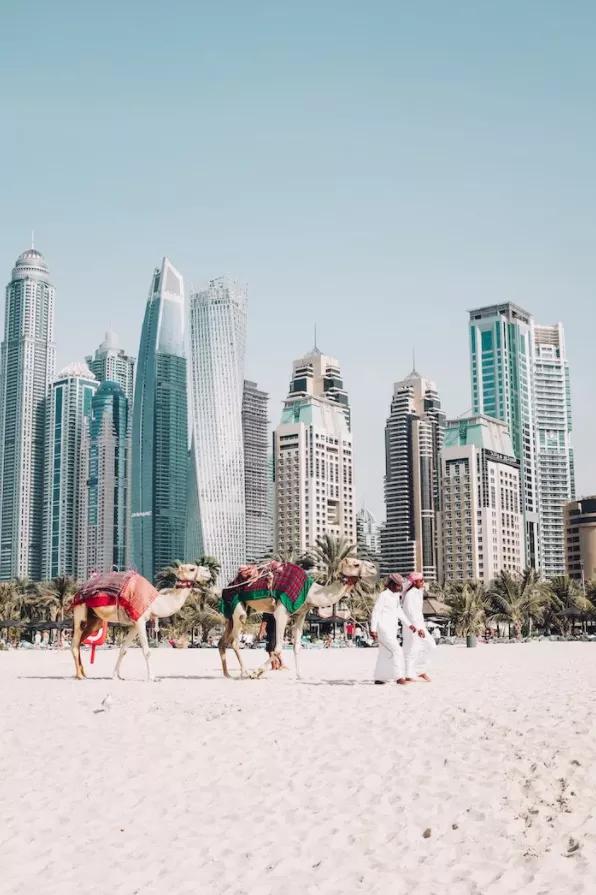 2021年12月去北海入境有何要求,2020年1月各国入境政策汇总