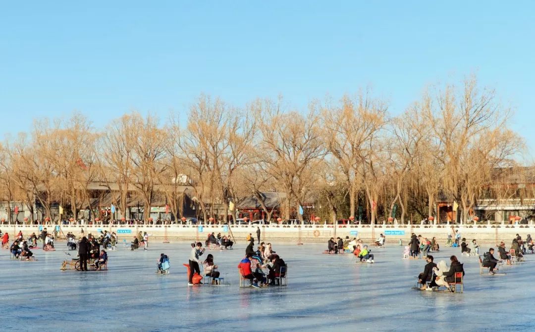 北京姑娘在西藏开民宿,北京姑娘在云南开民宿