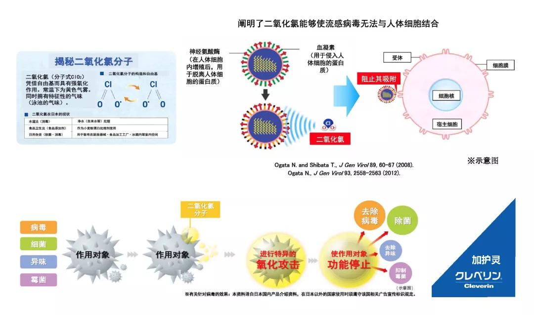 日本樱花除甲醛,日本进口除甲醛品牌