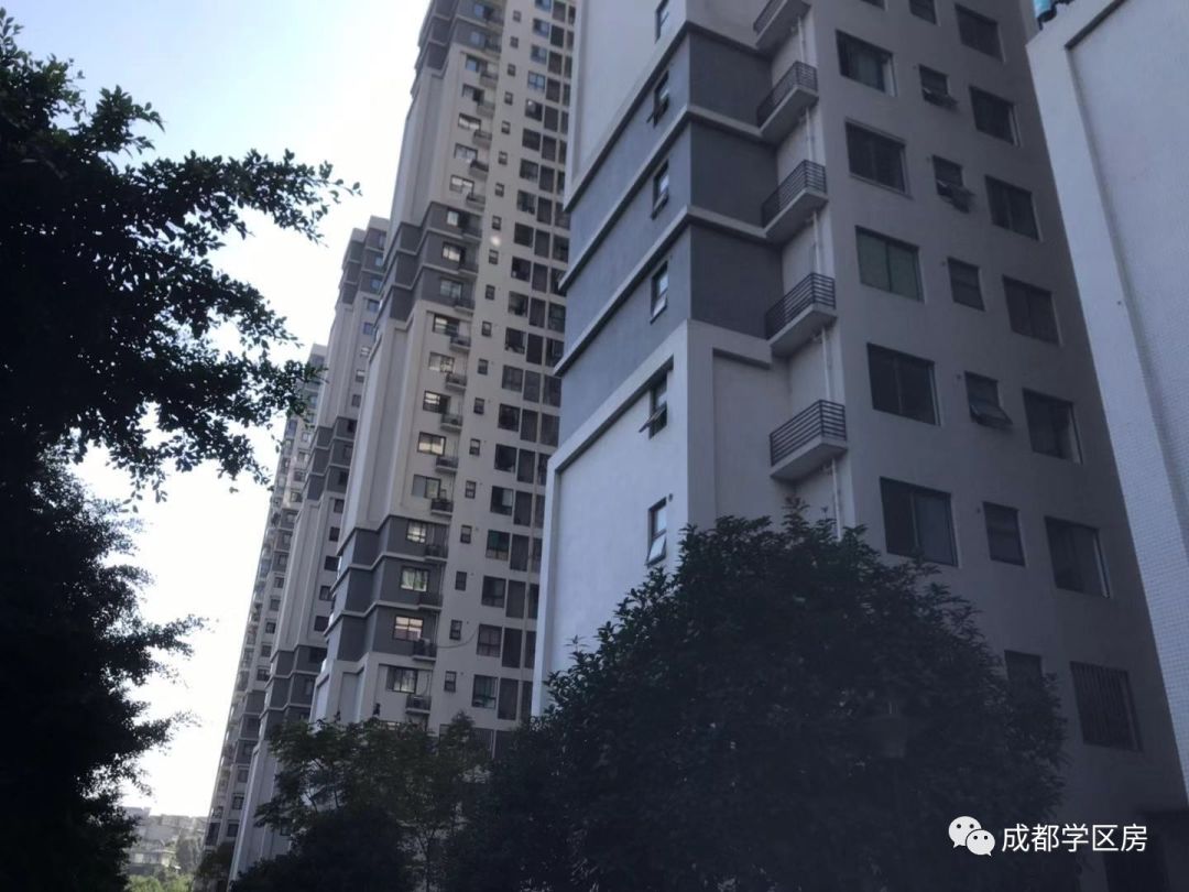 天府新区第五小学待遇,天府新区第五小学对口中学