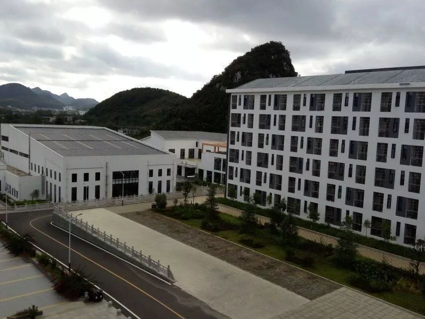 作文片段小学,作文片段模板