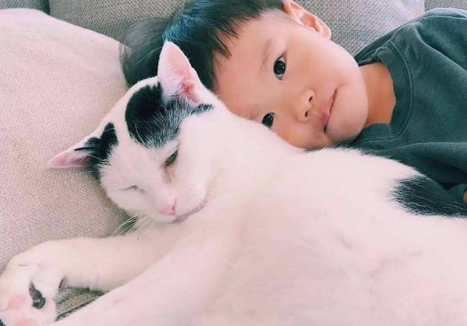 猫导致婴儿窒息,宠物猫致病