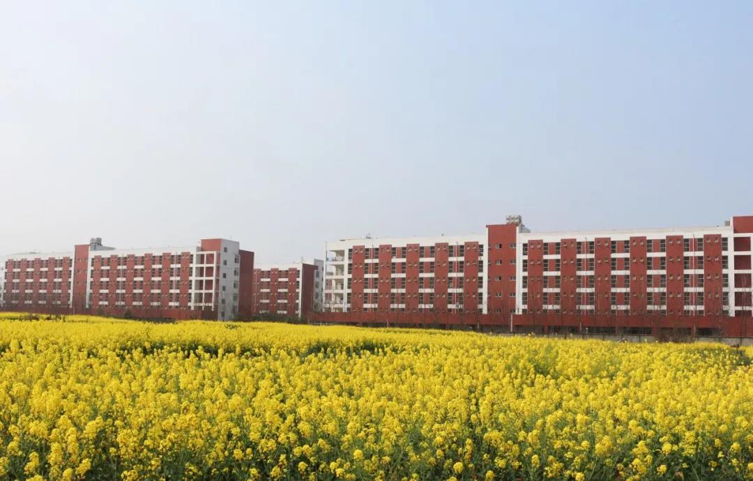 成都的大学豪华宿舍,成都好看的大学宿舍