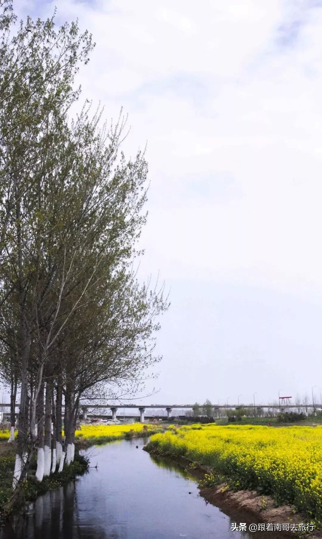 西安附近的公园免费景点推荐,西安公园免费旅游攻略最新