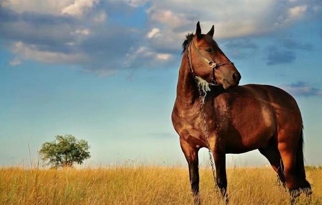 诗仙李白十首诗巅峰之作,李白最著名古诗10首感慨时光流逝