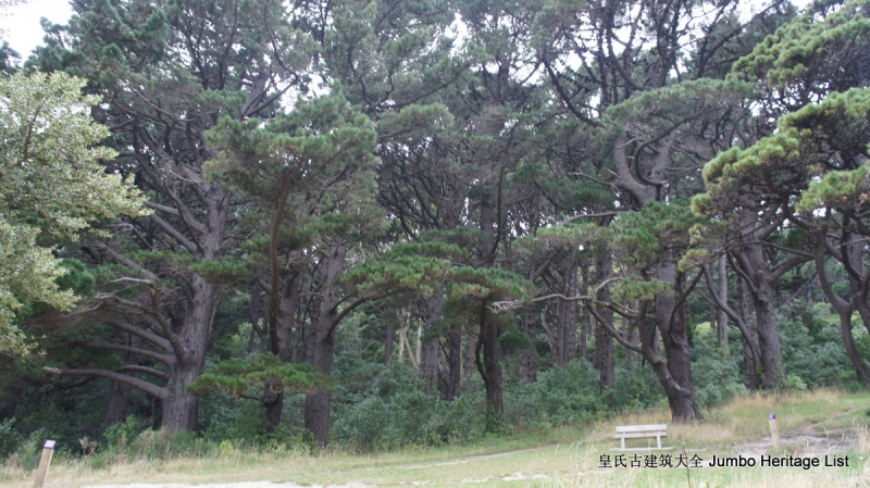 第61回：惠灵顿维多利亚山，蒂帕帕国家博物馆（上）
