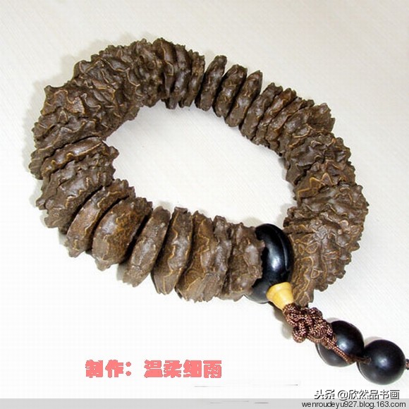 印度菩提子的种类,海南菩提子的种类