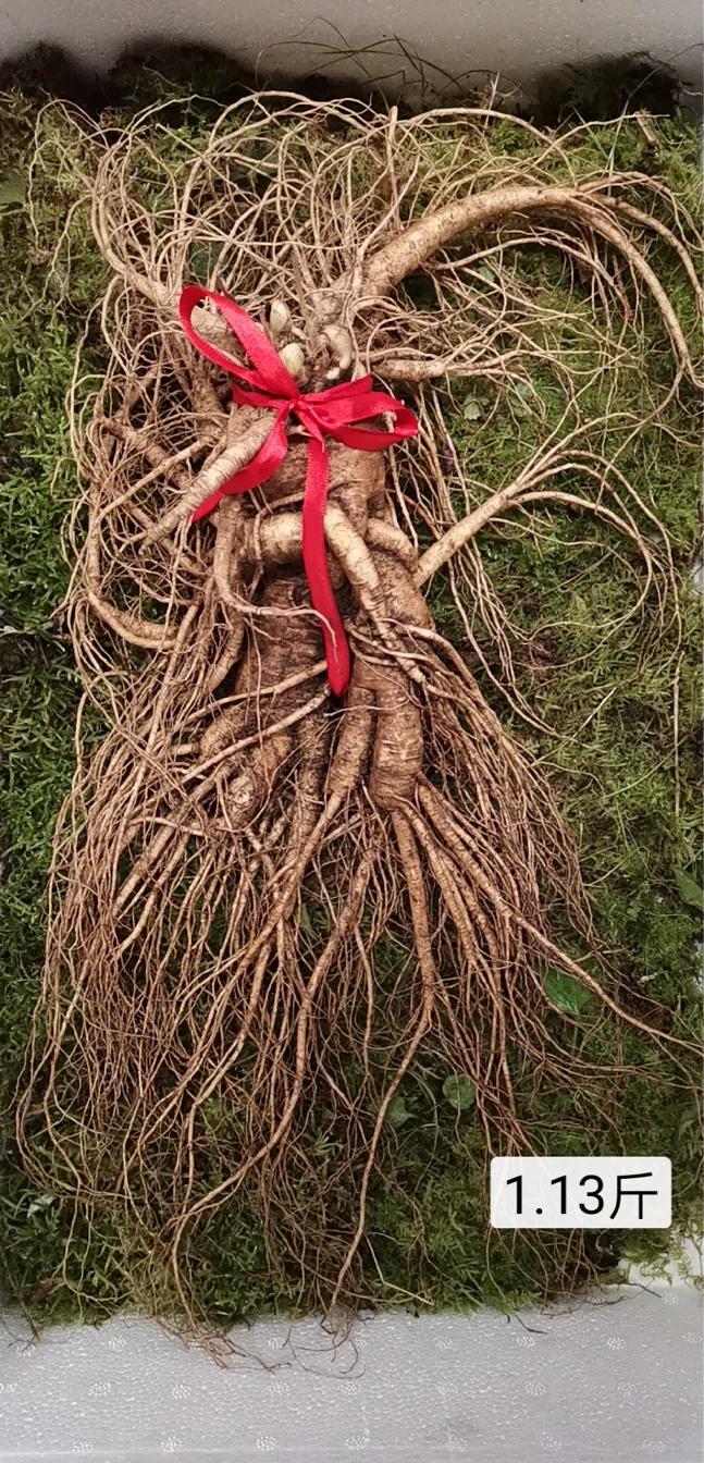 人参7两为参八两为宝什么意思,人参为什么说7两为参8两为宝