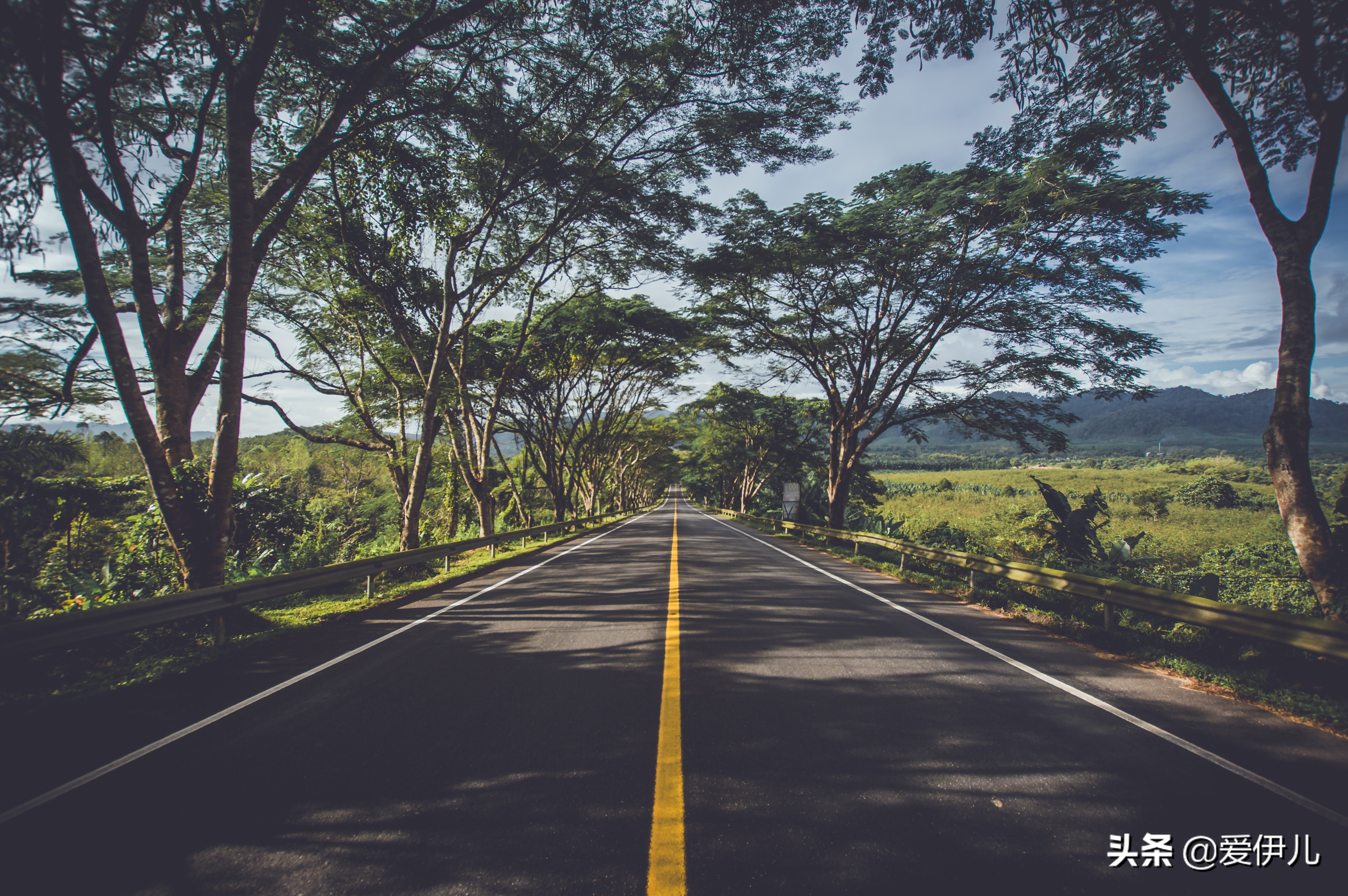 放下烦恼去旅行的文案,放下烦恼去旅行