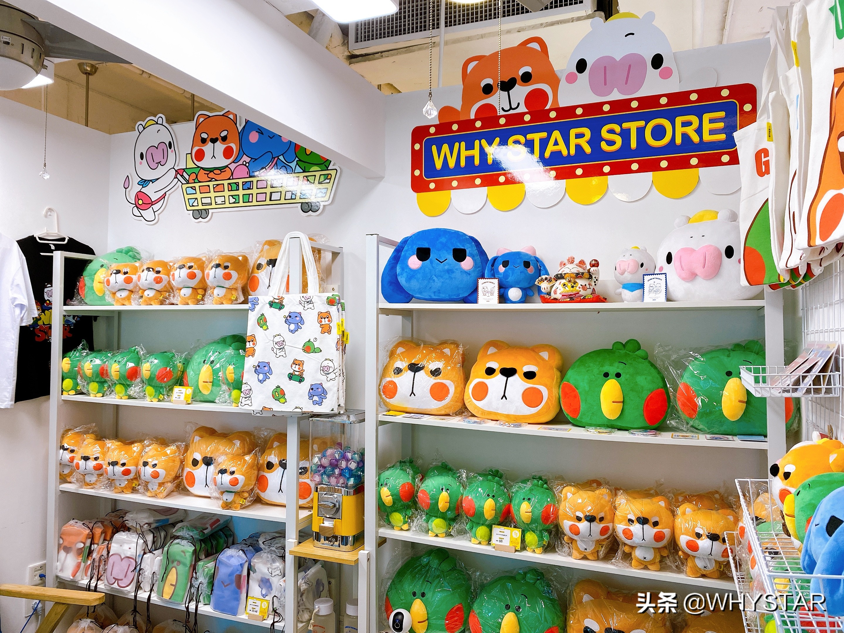 萌力十足的WHYSTARIP萌物专门店喊你打卡啦