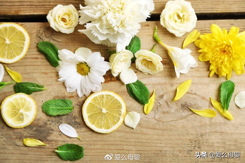 不容易怀孕的人适合养什么花,怀孕后家里适合养什么花