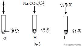 七年级下册科学实验探究题及解析,河北人民出版社四年级科学实验题