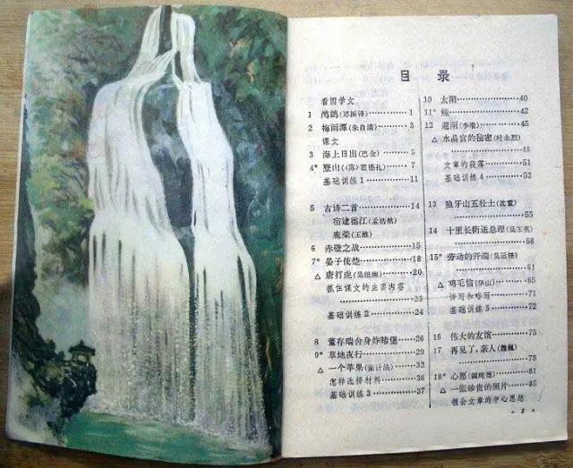 童年语文课本,80后的童年回忆之语文课本