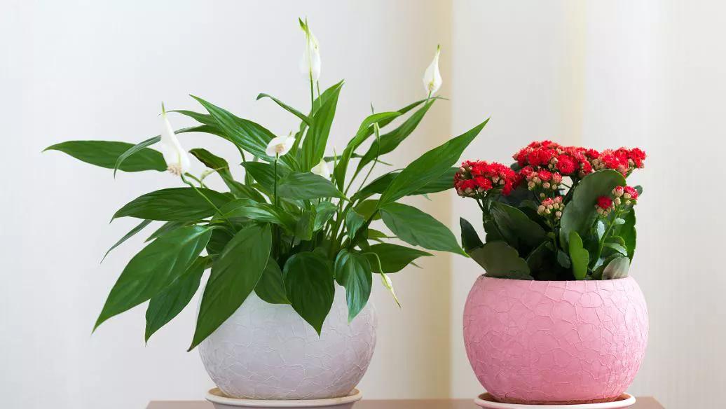 8-12岁闺蜜礼物,9岁学生该送闺蜜什么手工礼物