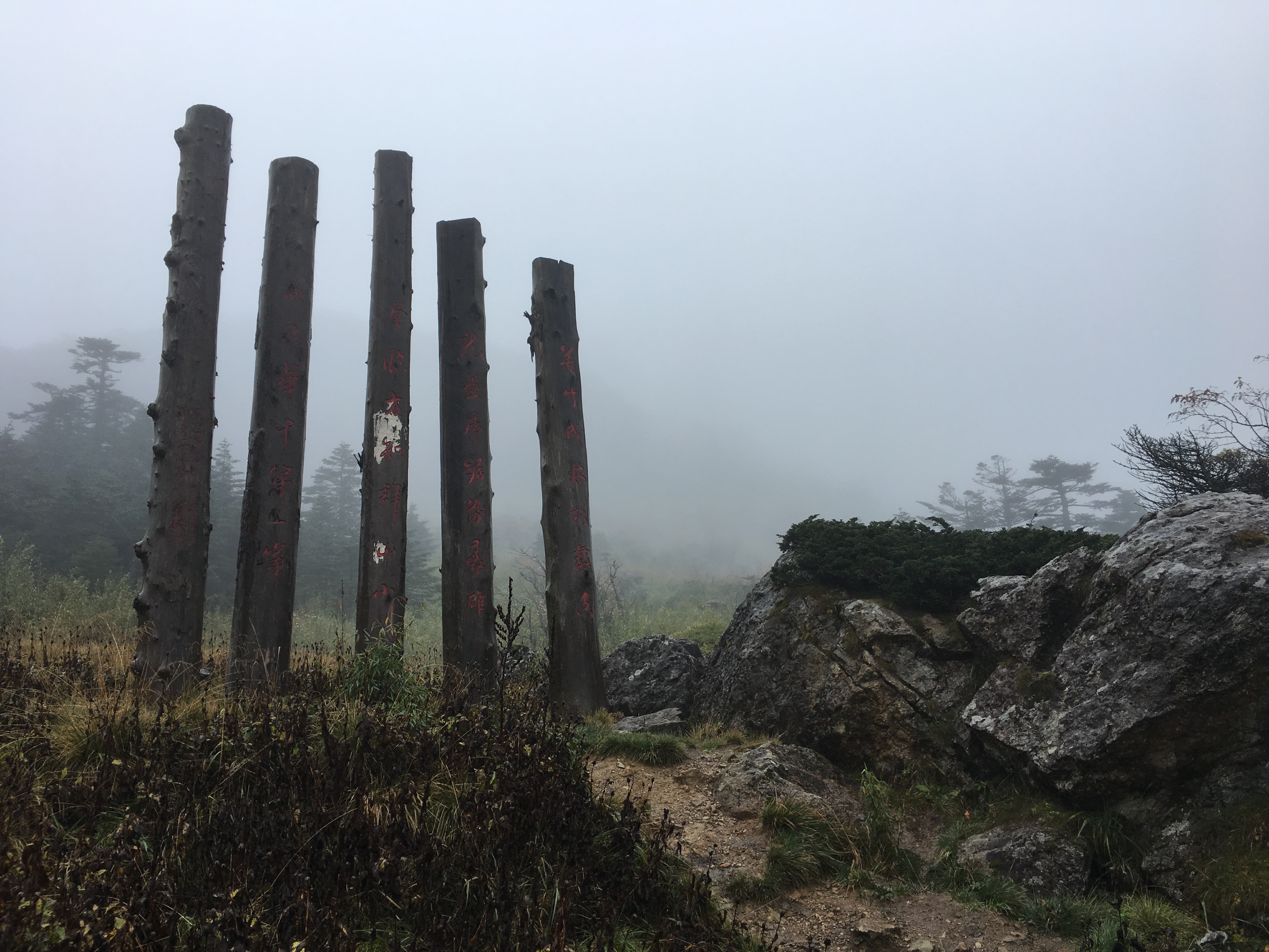 雨中神农架探秘之旅｜国庆节节武汉至神农架自驾游攻略分享