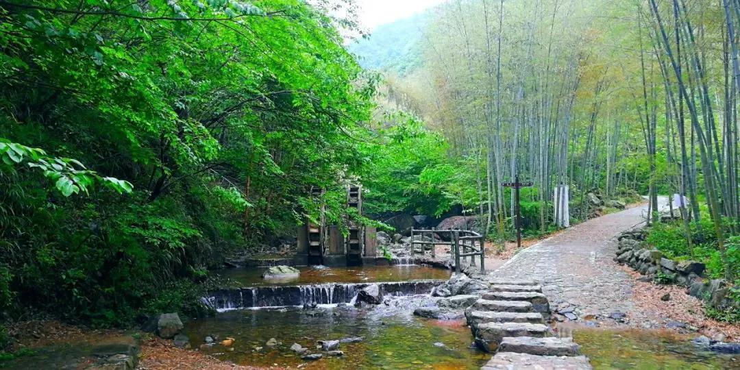 河南传统面食糕点,河南地方的特点面食有多少种呢