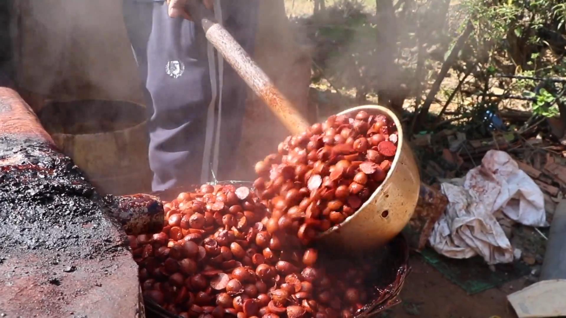 槟榔是不是属于软性毒品,中国六千万人上瘾的槟榔