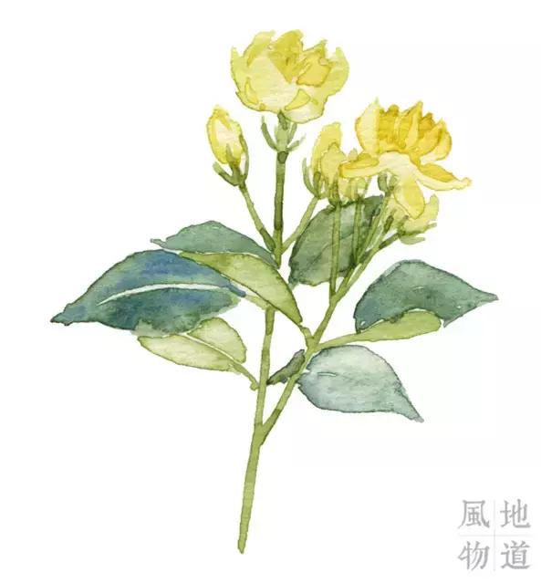 为什么有眼光的人来广西都会买这9种东西？