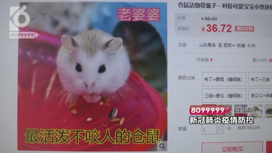 花鸟市场买宠物开放了吗,哪里有正规的花鸟市场