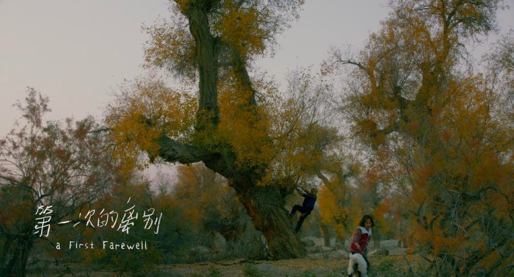 油画般的电影风格,油画般画质的电影