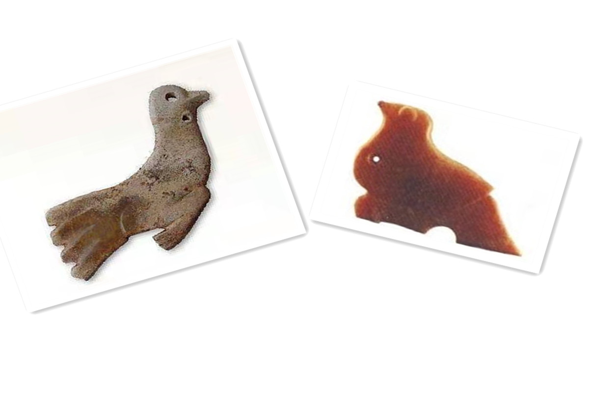 鸽子具有哪些个性和象征意义,鸽子在中西方的不同象征