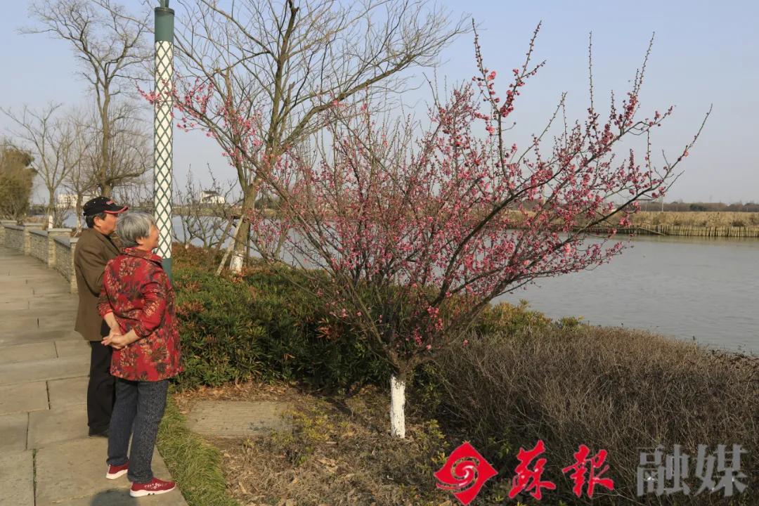 苏州旅游必打卡的10个景点,苏州适合周末放松的景区