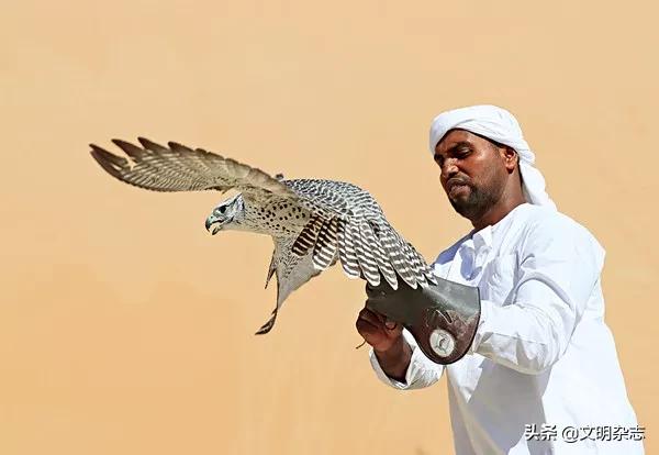 土耳其也门叙利亚,索马里土耳其黎巴嫩乌克兰也门