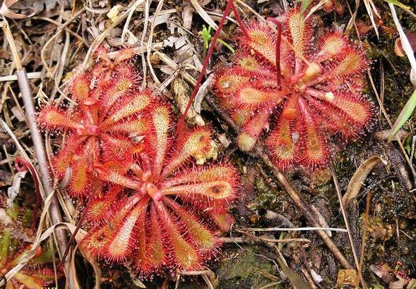 那些全球无法解释的神秘事件,盘点全球十大未解真实事件