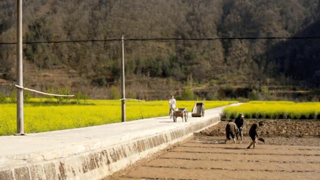 陕西秦岭最美的小城在哪里,秦岭深处的小县城暗藏着绝美秋色