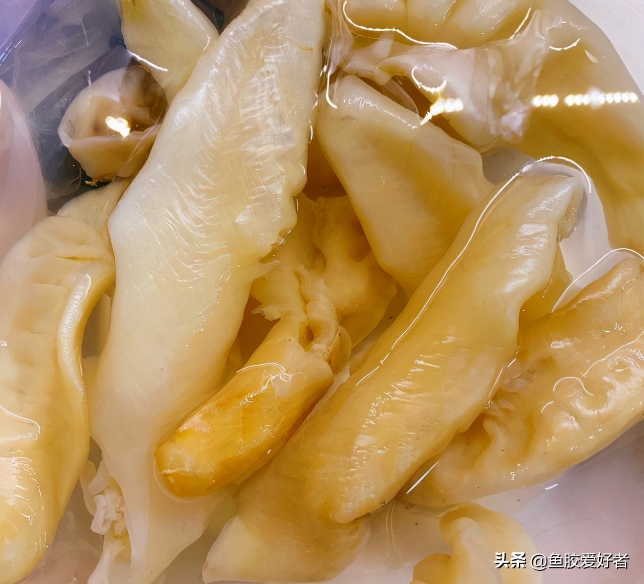 鱼胶的正确泡发方法教程,鱼胶的正确泡发方法和步骤