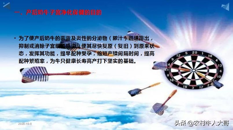 奶牛产后子宫净化保健实施方案ppT课件