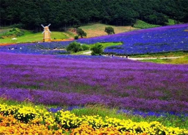 辽宁旅游景点推荐3天自由行,辽宁学生旅游景点推荐