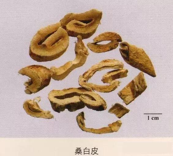 中药材图片大全大图带药名,200多味中药材图谱带图