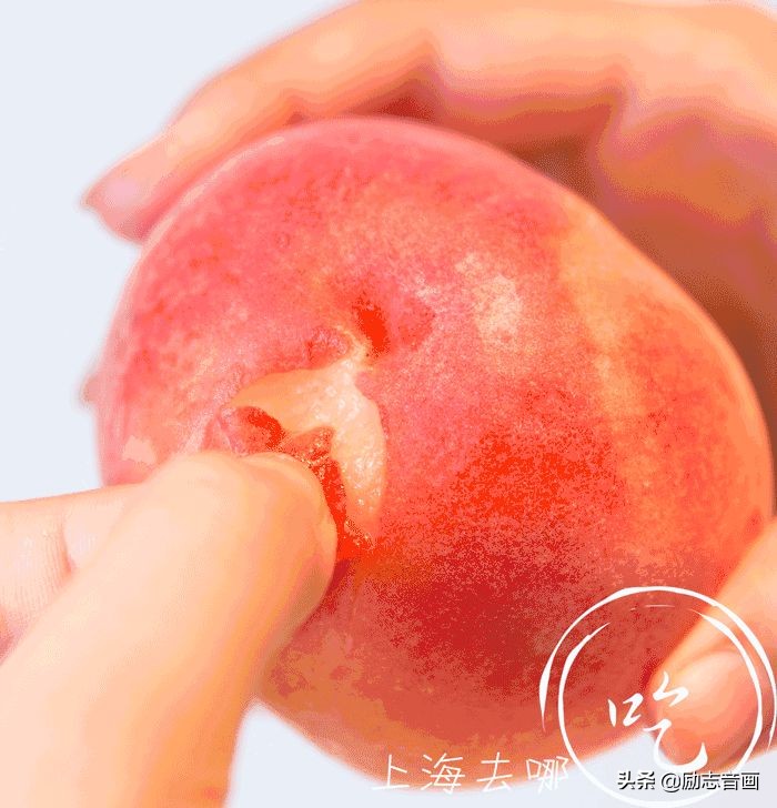 实用毛巾除异味和杀菌生活小妙招,60条实用惊人的生活小妙招