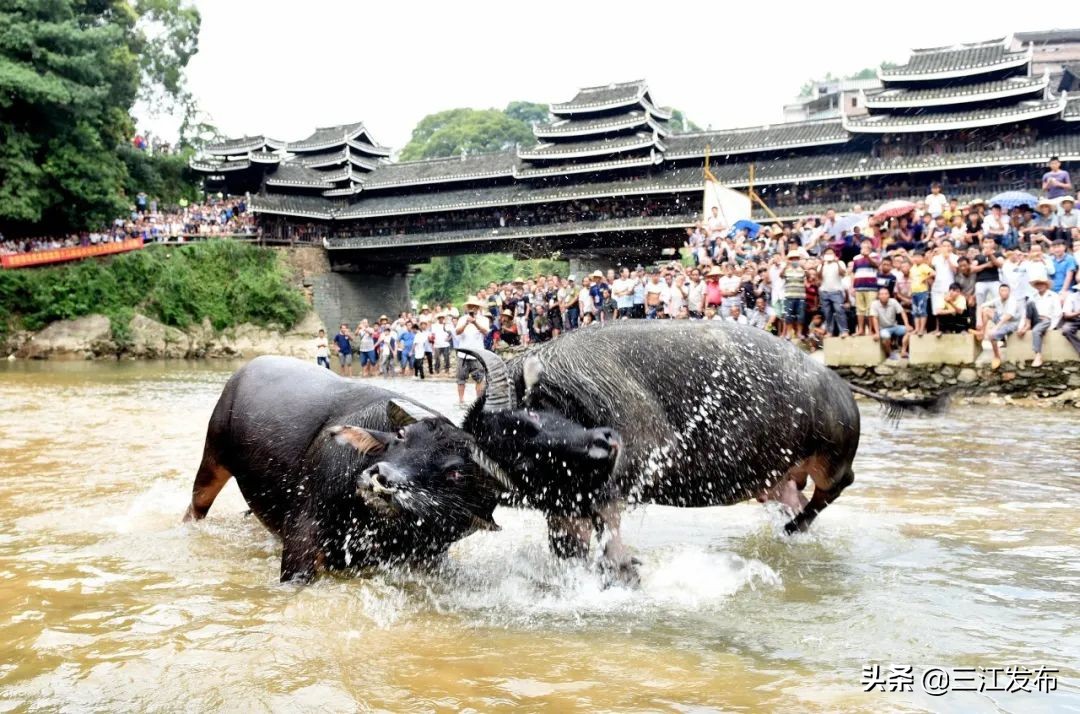 【“5.19”中国旅游日】国家移民管理局各边检总站齐发力，同为三江旅游扶贫打call!