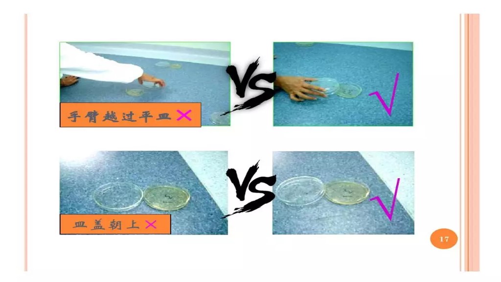 课件-环境微生物采样方法