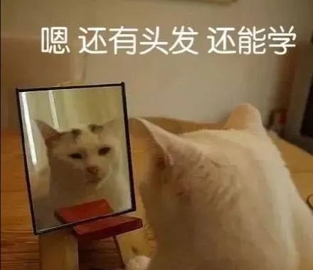 跟妹子聊天聊什么话题好,跟妹子聊天要聊什么话题