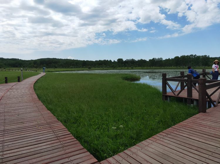 美丽的高岭塞罕坝,美丽的高岭朗诵