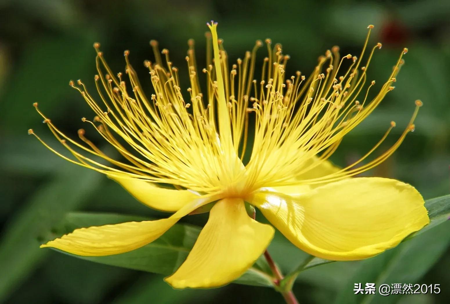 生日回想前面的日子,生日的独白