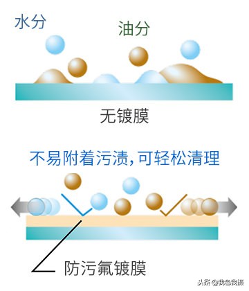 佳能打鸟顶级镜头,佳能平民打鸟推荐