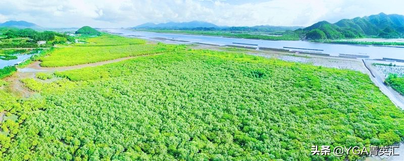 台山北陡镇有哪些好玩的景点,台山台城附近网红打卡地景点