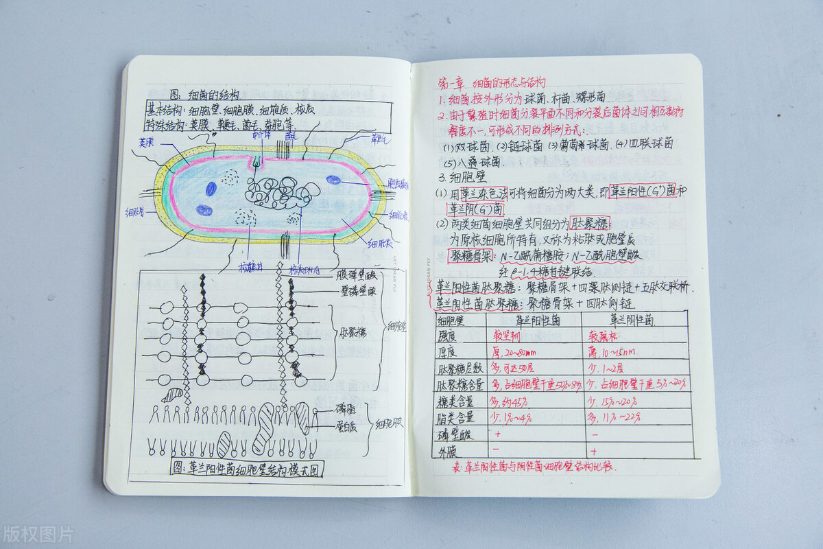 十种经典笔记法,如何做笔记最有效实用