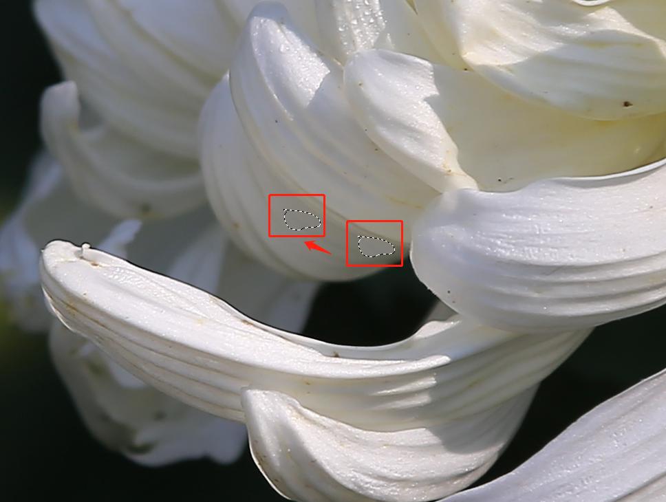 摄影后期如何处理颜色,摄影照片后期处理教程