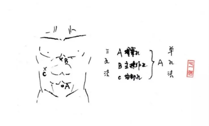 舍利子是什么意思,舍利子背后的故事