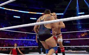 热血格斗详细解析,热血格斗深度解析