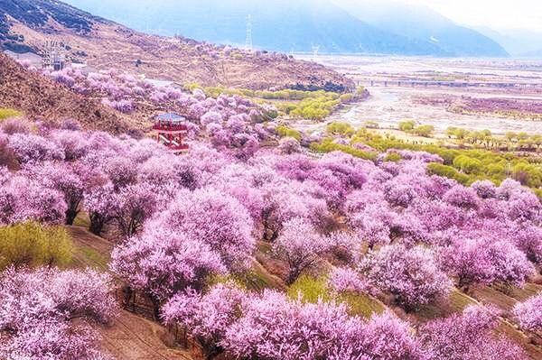 pandora潘多拉,pandora潘多拉红盒