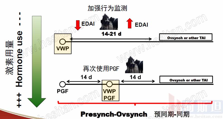康奈尔大学干细胞研究,康奈尔大学科研